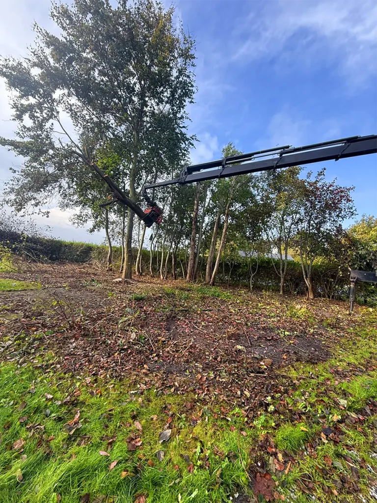Træfældning med kran og grab i haveområde, hvor store træer fjernes sikkert med professionelt udstyr.
